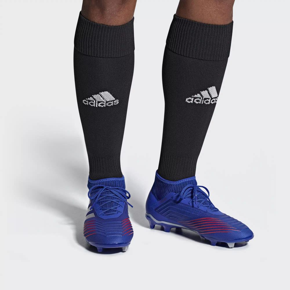 Adidas Predator 19.2 Firm Ground Tacos de Futbol Azules Para Hombre (MX-19774)